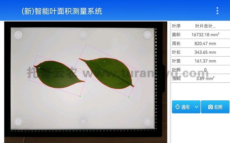 拍照式葉面積測(cè)量儀軟件界面圖